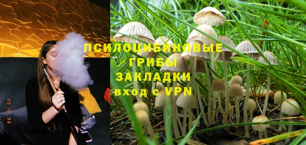 ALPHA PVP Медвежьегорск