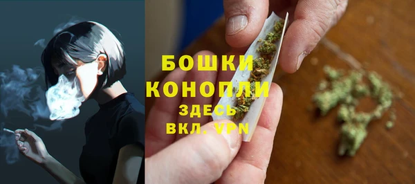 гашик Мегион
