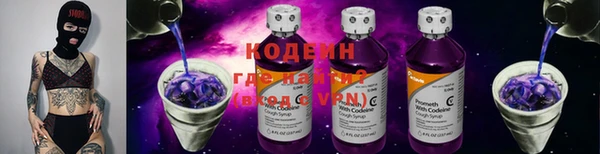 гашик Мегион