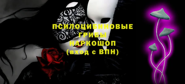 гашик Мегион