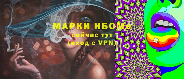 гашик Мегион
