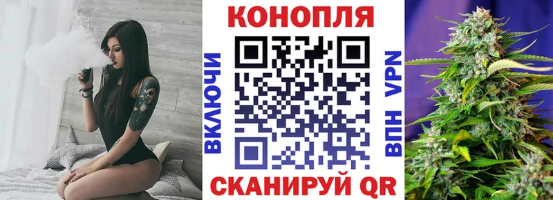 купить  цена  Котово  Бошки марихуана семена 